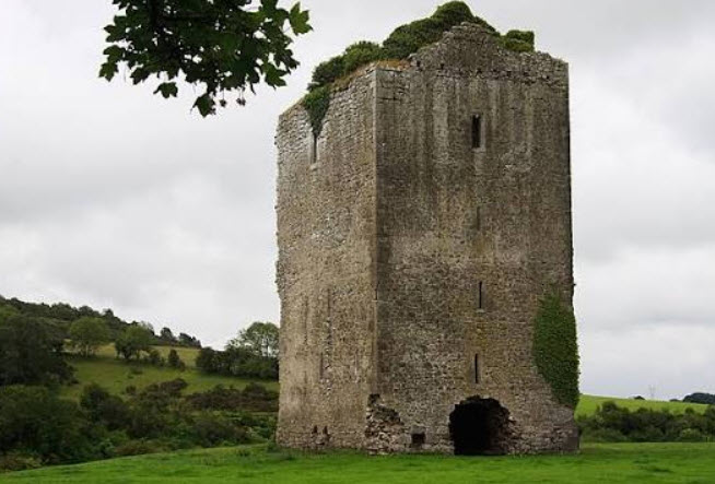 Gortnaclea Castle, Ireland